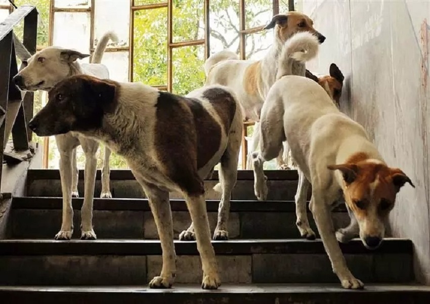 प्रतीकात्मक चित्र