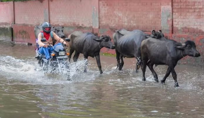 हरियाणा, पंजाब में  हुई बारिश  से तापमान सामान्य से कम