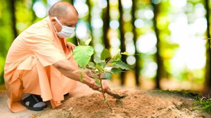 मुख्यमंत्री योगी आदित्यनाथ  (फाइल)