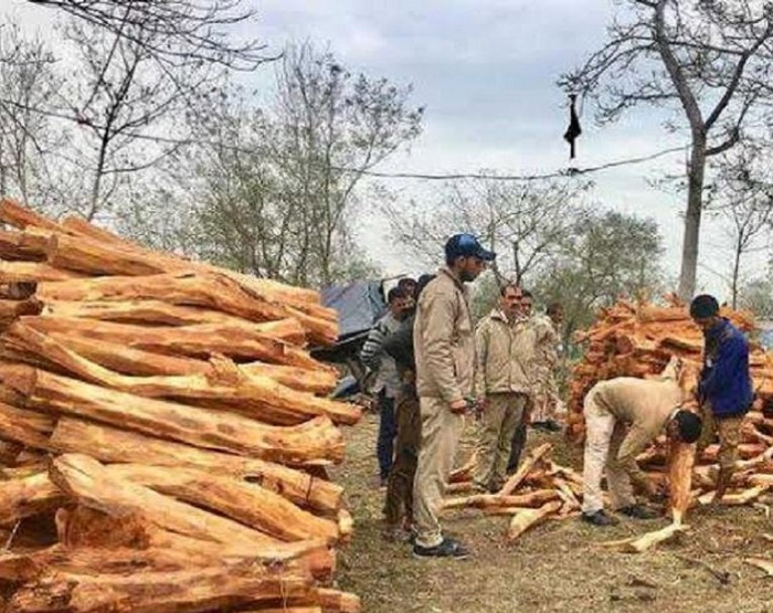 खैर की लकड़ी जब्त