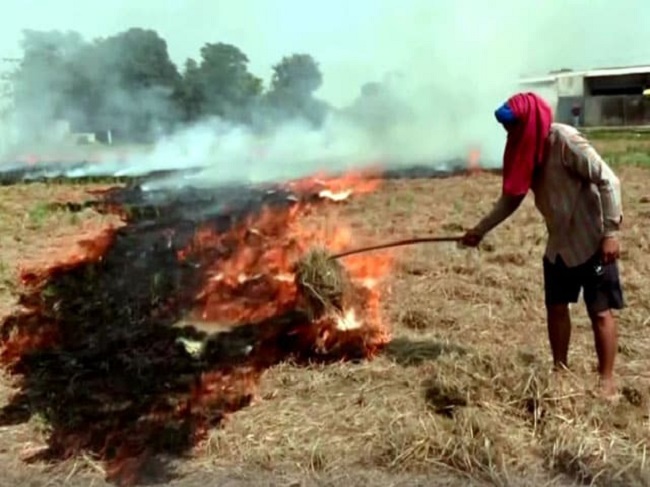 पराली जलाने से रोकना पड़ा मंहगा