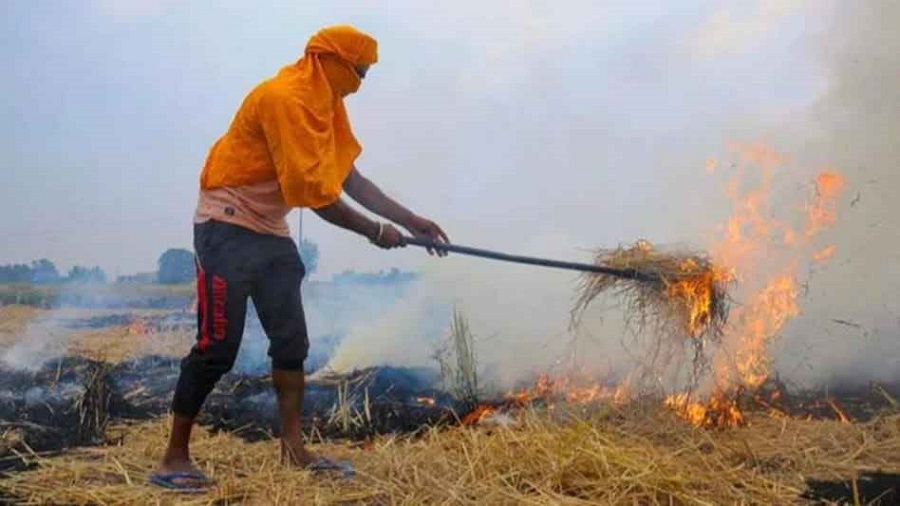 पराली जलाने पर देना होगा जुर्माना