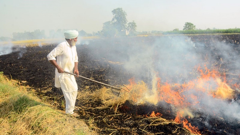 पराली जलाने के मामलों में गिरावट