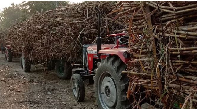 उत्तराखंड सरकार ने किसानों को दिया तोहफा ,गन्ने की एसएपी