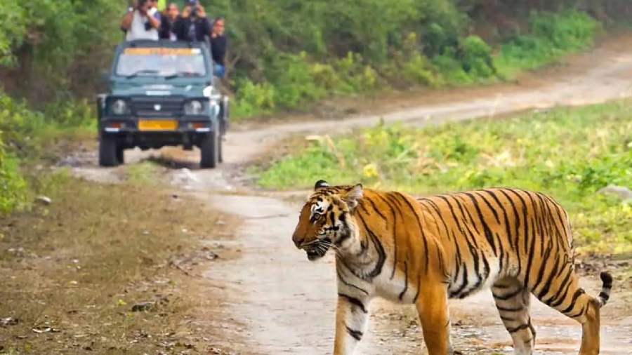 जिम कॉर्बेट नेशनल पार्क