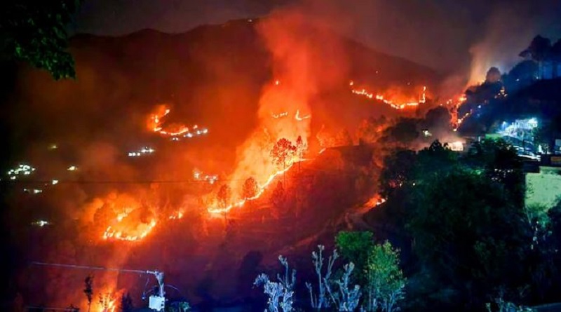 Forest fires raging through most parts of Uttarakhand for the past few days