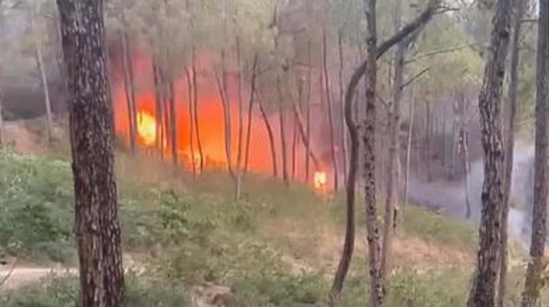 Fire in Dingu forest