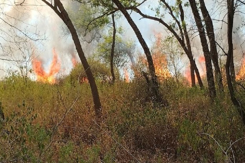 Fire at Kathlour Wildlife Sanctuary