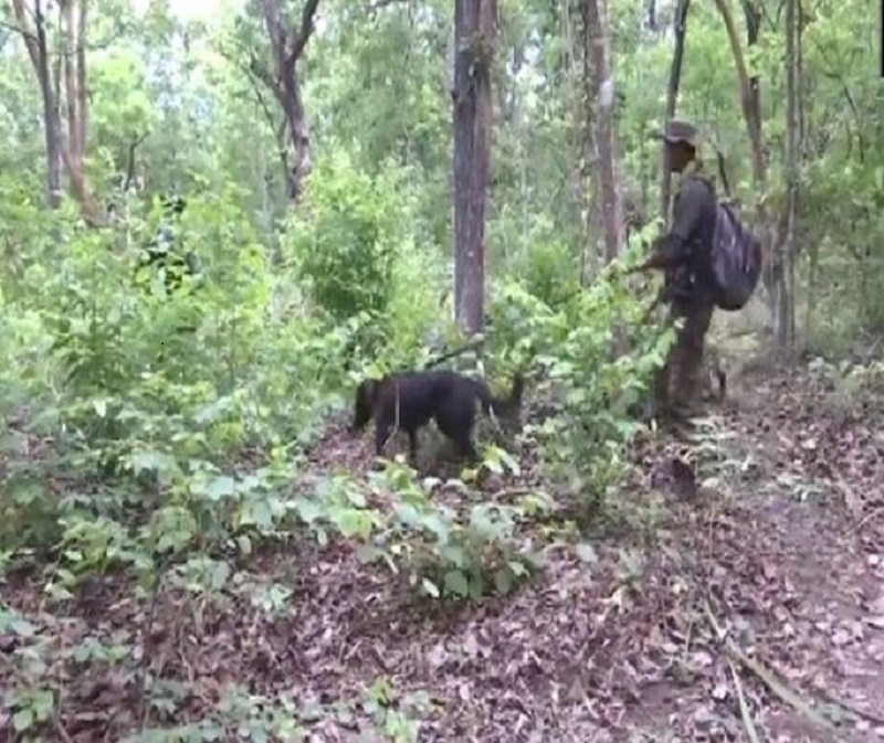 Security forces prepare to launch naxal operation in Chhattisgarh's Dantewada