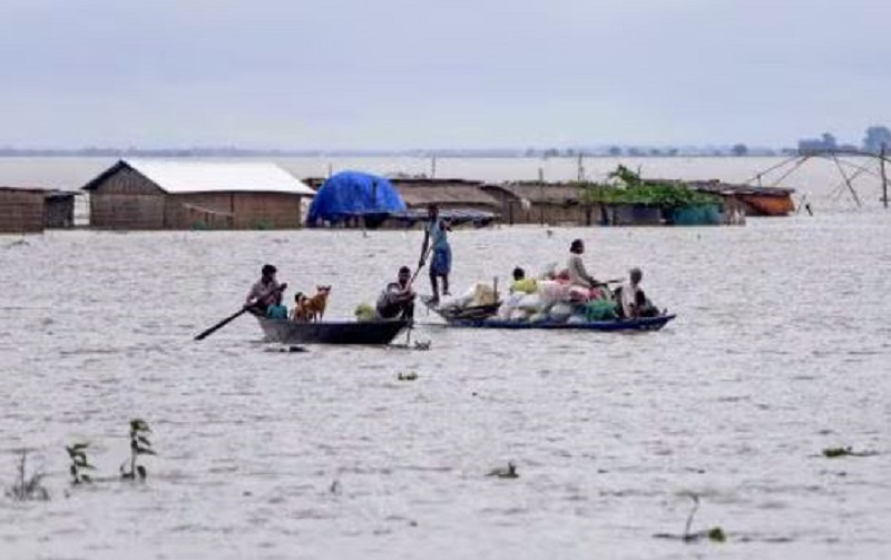 95 Kaziranga forest camps submerged in floods