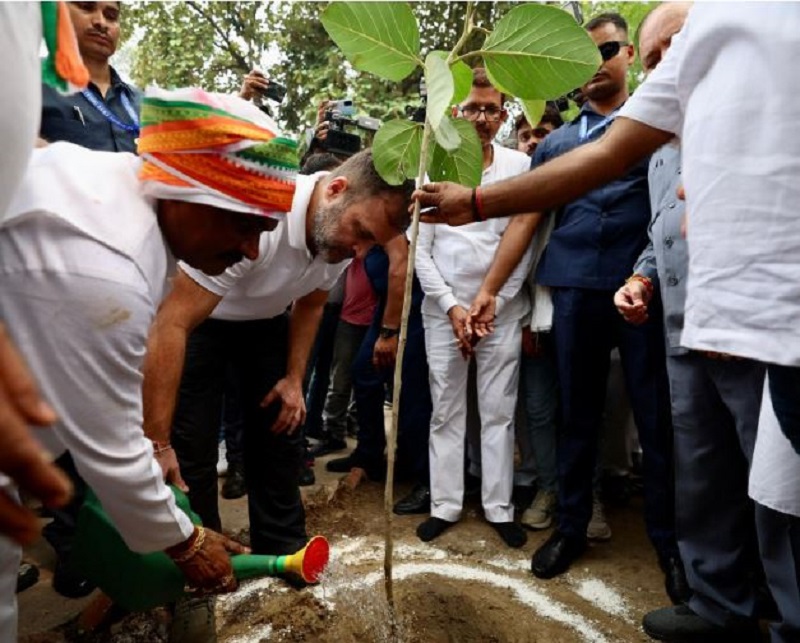 राहुल गांधी ने किया पौधारोपण