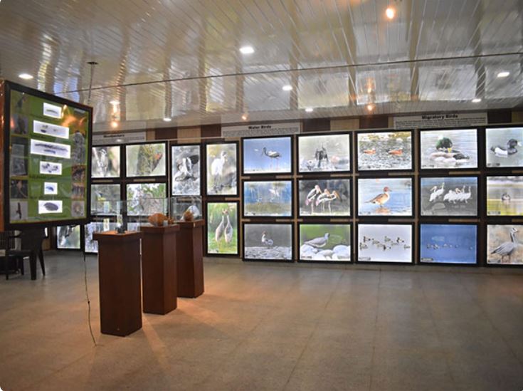 First bird gallery in Dehradun