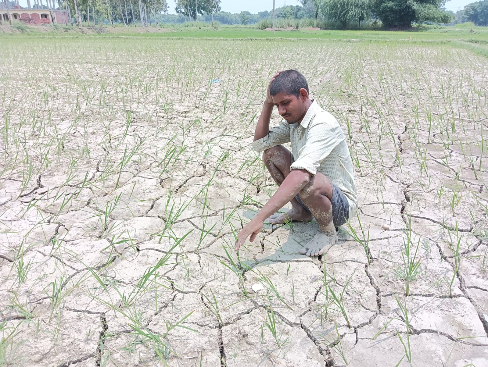 बारिश ना होने से परेशान किसान