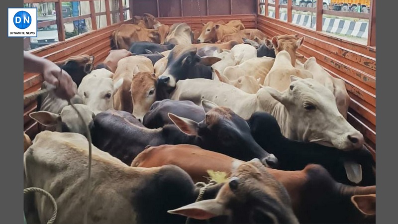 Cattle smuggling leads scuffle in Bihar