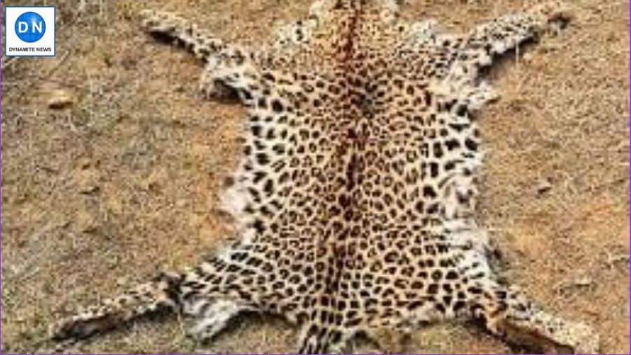 Leopard skin