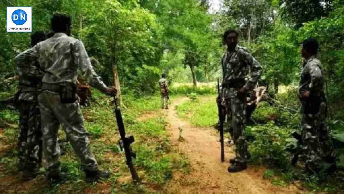 14  Naxals killed in Bastar