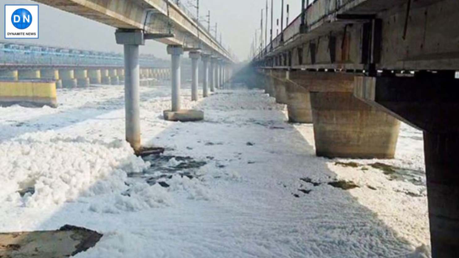 Foam covers Yamuna River