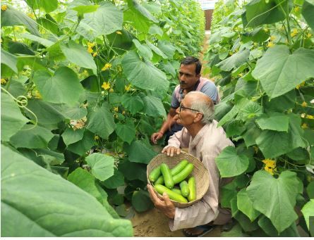 Udhampur Farmers embrace Polyhouse Farming