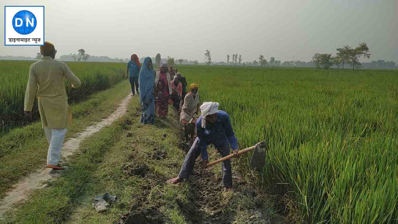 मनरेगा कार्यों का निरीक्षण