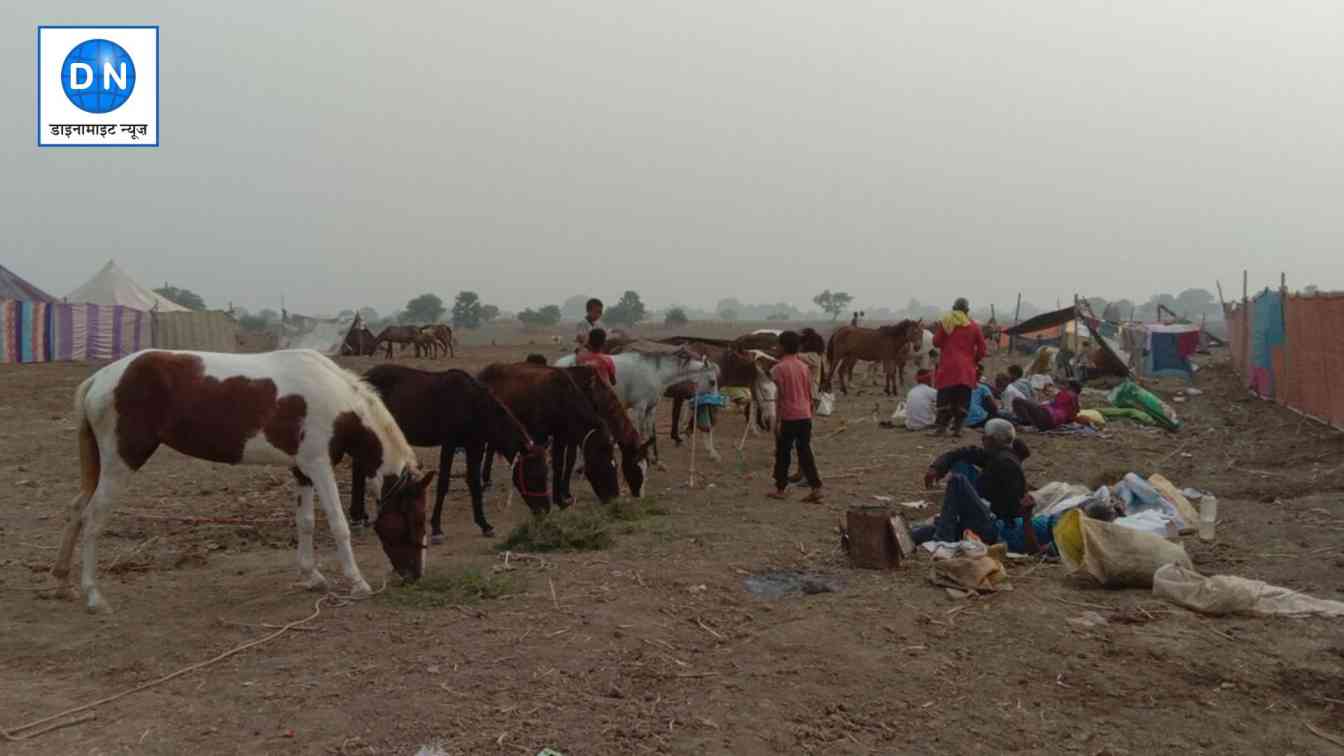 नंदीग्राम पशु मेला