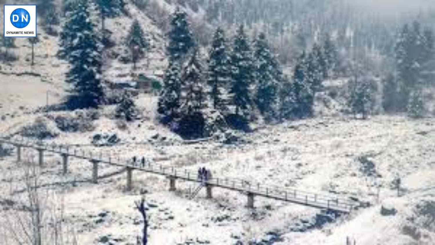 Snowfall causes cold wave across Kashmir valley