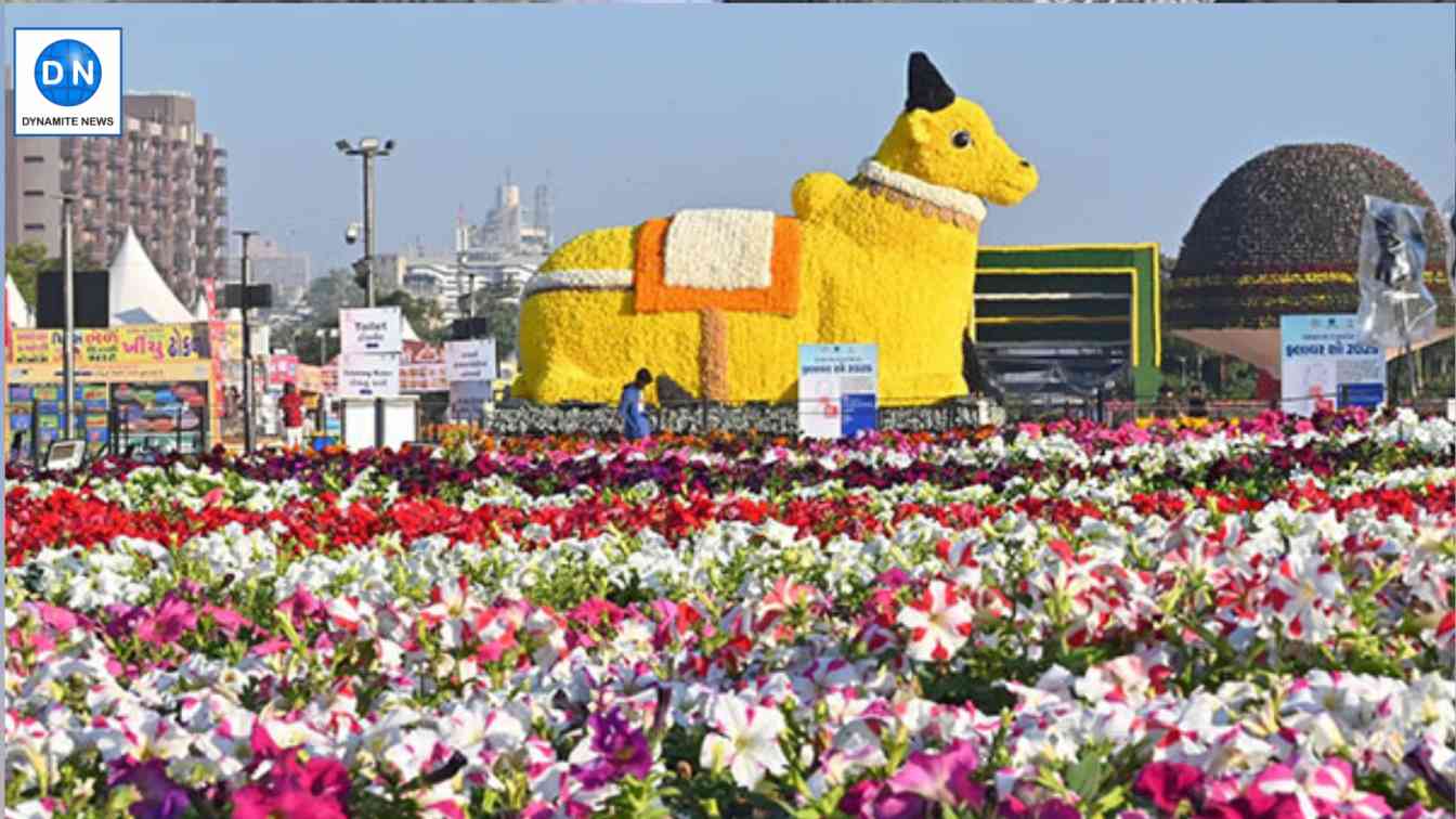 Visual from Ahmedabad International Flower Show