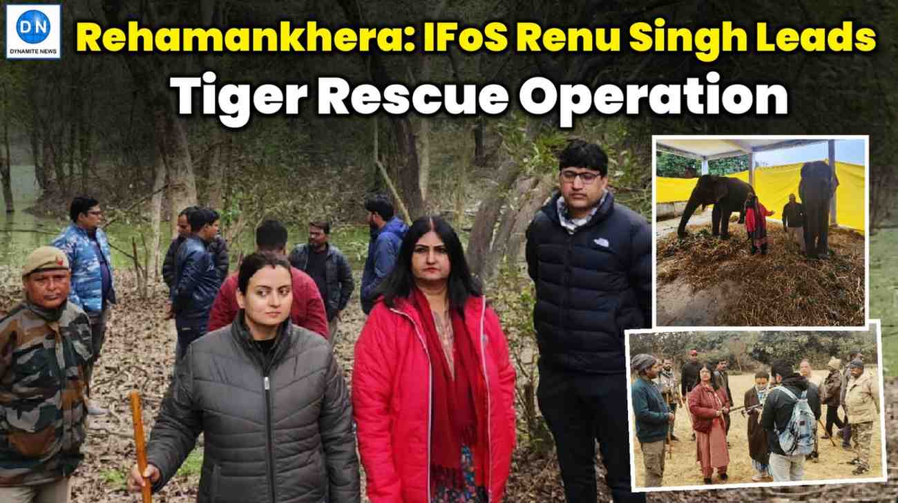 Rehamankhera tiger rescue operation underway