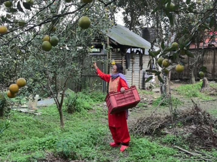 A woman in her orchard