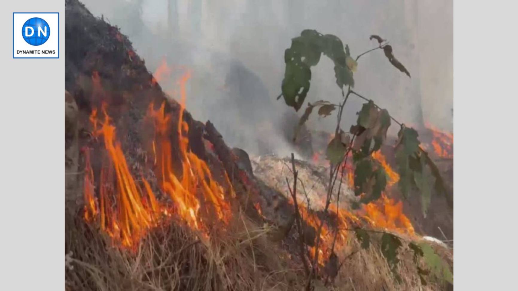 Fire in Soil Conversion Clouser in Udhampur