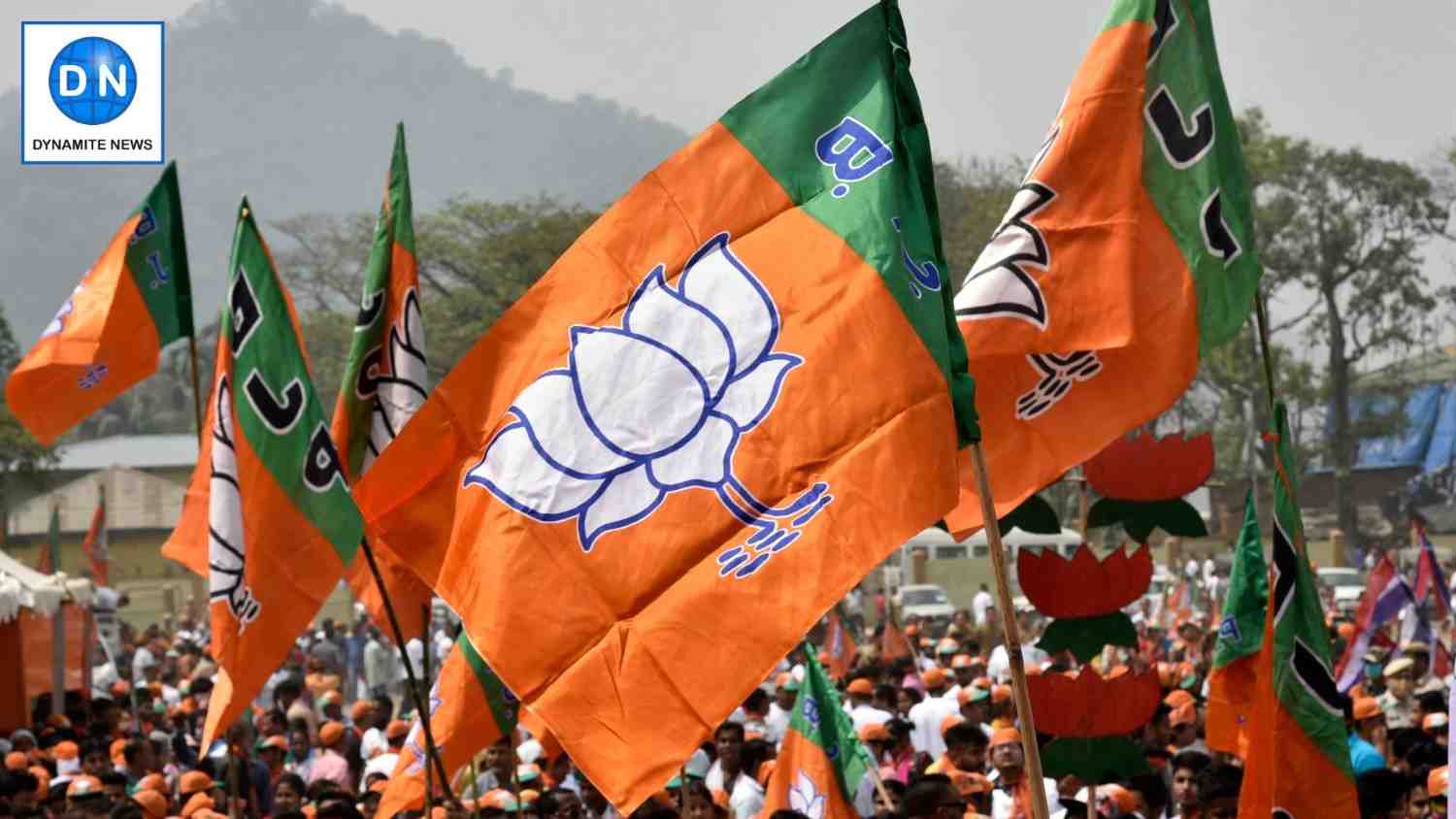 BJP wins local body polls in Haryana